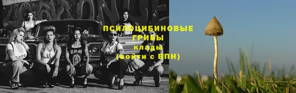 mdpv Алзамай