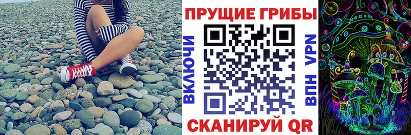 Псилоцибиновые грибы Cubensis  блэк спрут вход  Армянск  купить  